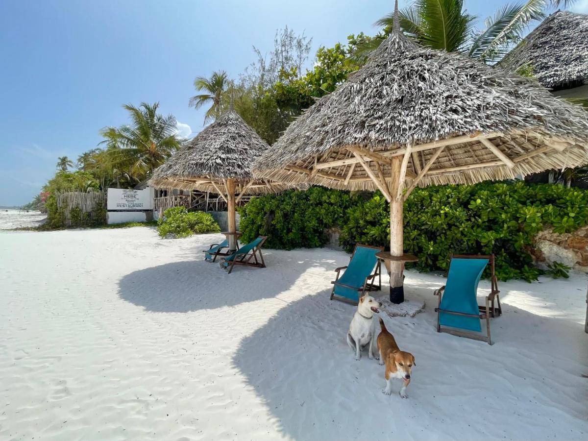 Hebe Bungalows Lodge Matemwe  Kültér fotó