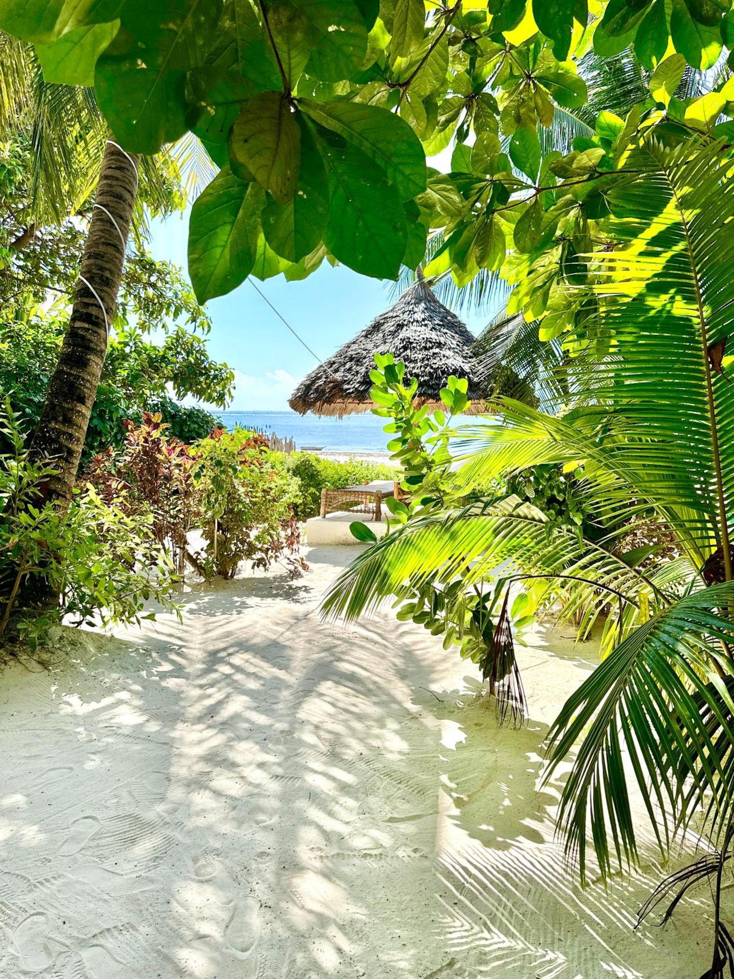 Hebe Bungalows Lodge Matemwe  Kültér fotó