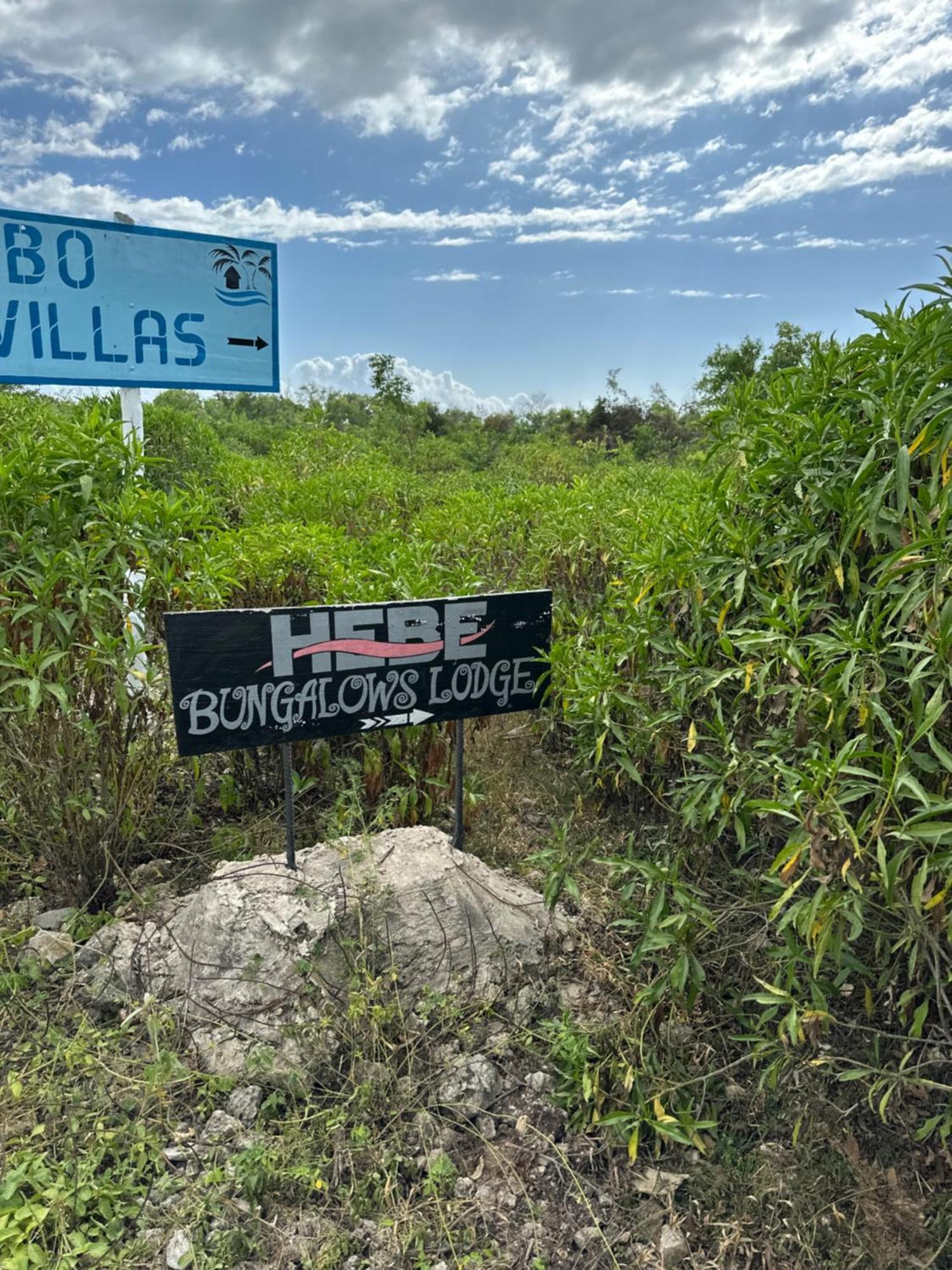 Hebe Bungalows Lodge Matemwe  Kültér fotó