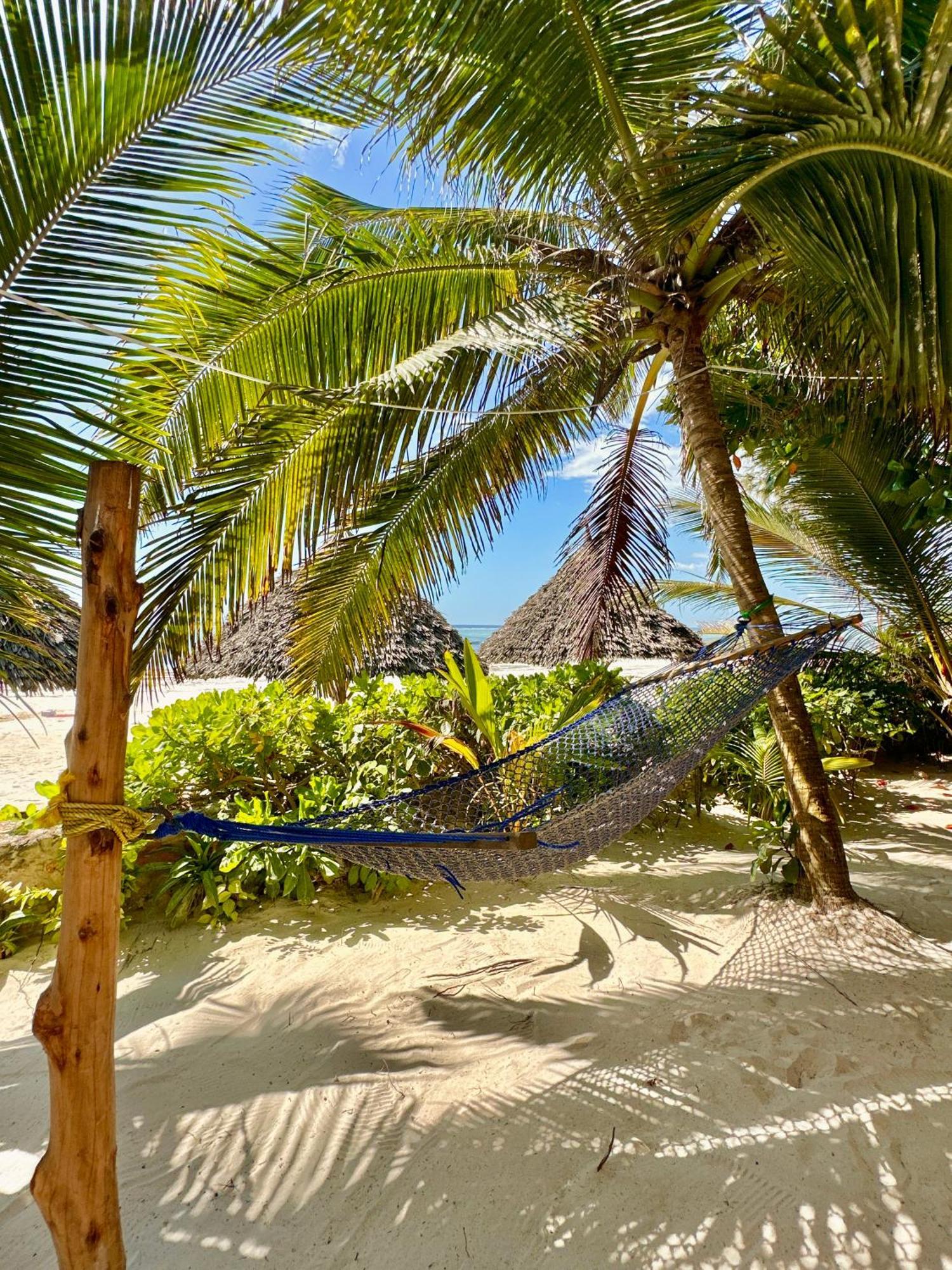 Hebe Bungalows Lodge Matemwe  Kültér fotó