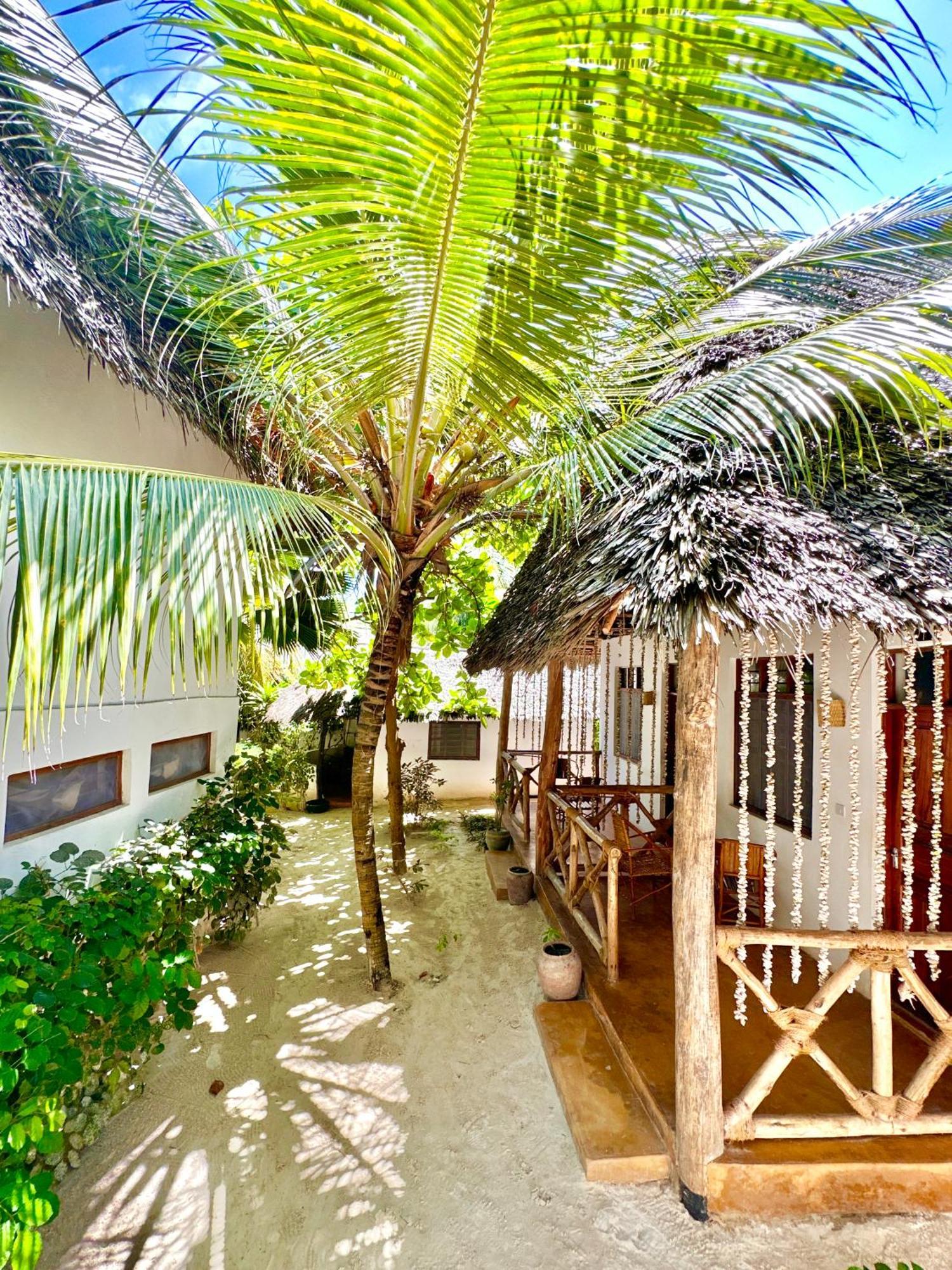 Hebe Bungalows Lodge Matemwe  Kültér fotó