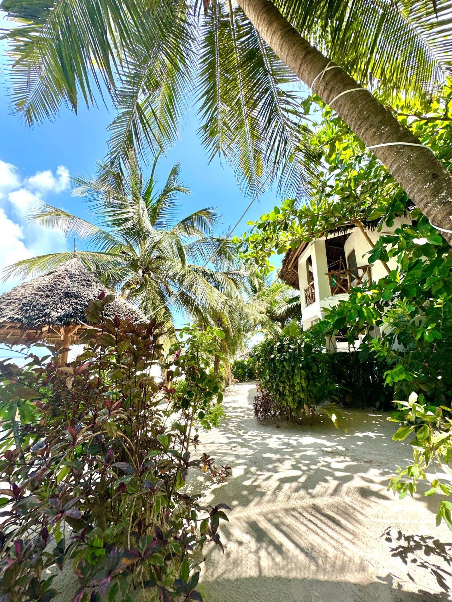 Hebe Bungalows Lodge Matemwe  Kültér fotó