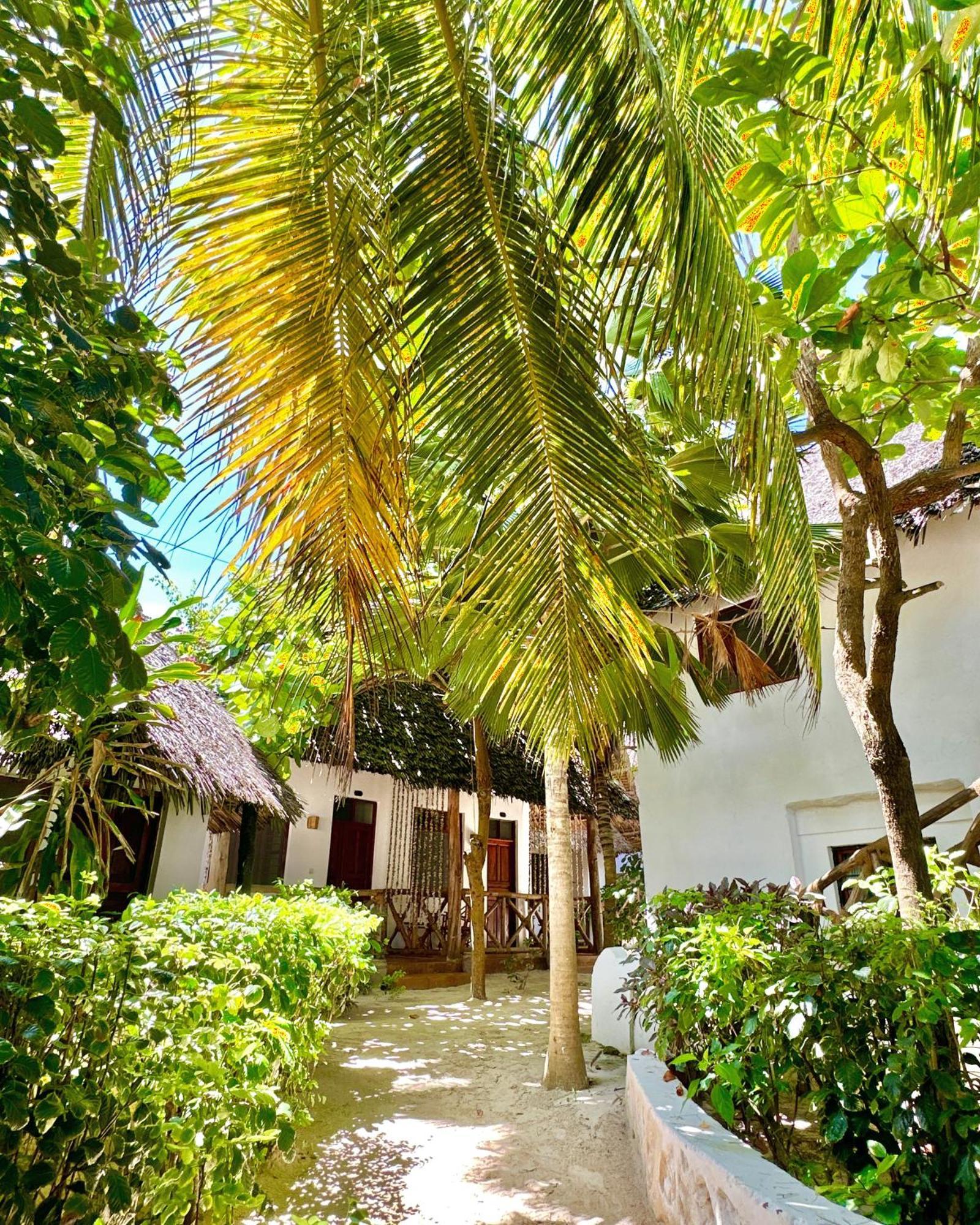 Hebe Bungalows Lodge Matemwe  Kültér fotó