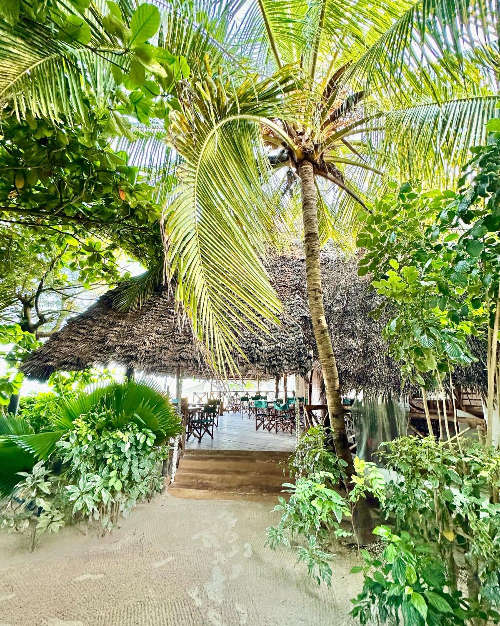 Hebe Bungalows Lodge Matemwe  Kültér fotó