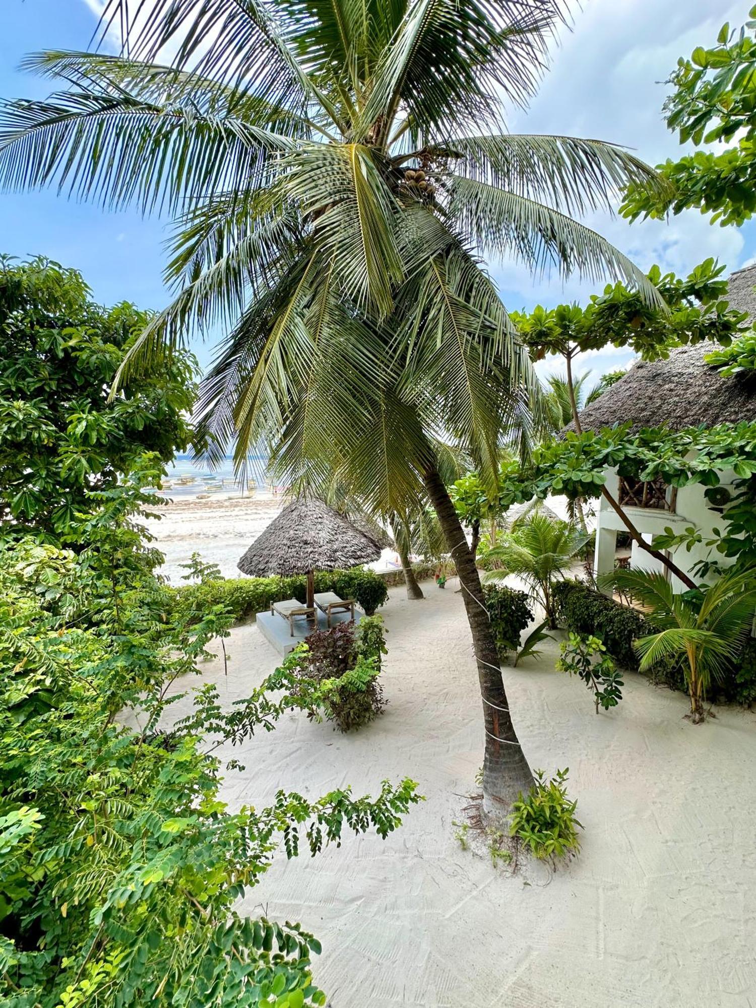 Hebe Bungalows Lodge Matemwe  Kültér fotó